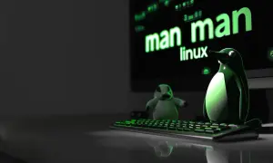 Man who Linux - czym jest? - Wyjaśnienie terminu